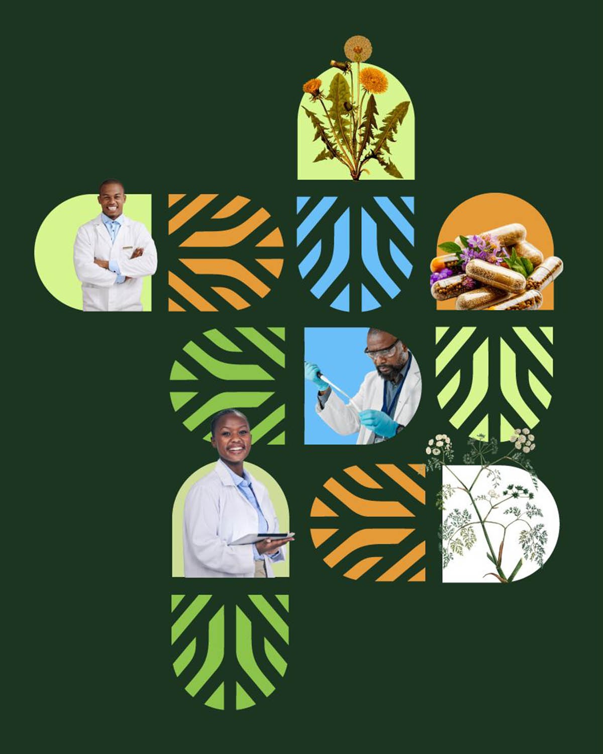 Jena Herbals _ Brand Guidelines-11